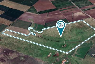 Teren pasune de 42,5 ha, comasat 100% pretabil pentru parc fotovoltaic - 1