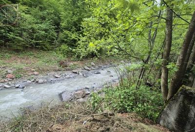 Casă individuală cu 12 camere cu Canalizare în Calea Moroieni - 19