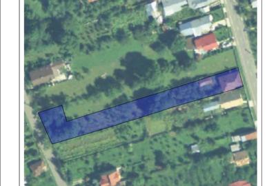 Campina Brebu Megiesesc - 6