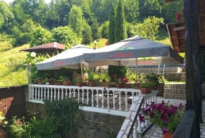 Hotel/Pensiune, de 20 mp, în Văliug - 10