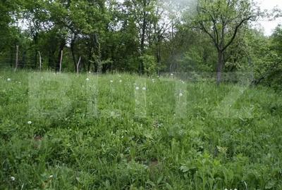 Teren în Central - 7