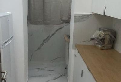 Apartament cu 2 camere semidecomandat, mobilat în Universitate - 5