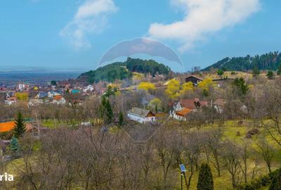 Spațiu comercial, în Satulung - 8