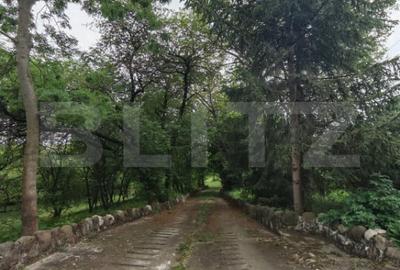 Teren de 14000 mp, în Cheia - 1