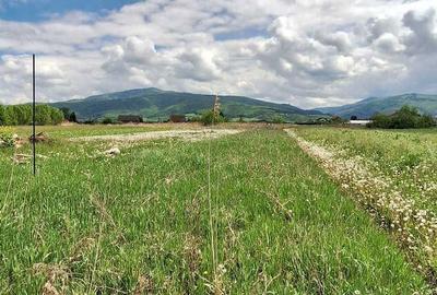 Teren de 1732 mp, în Stupinii Prejmerului - 4