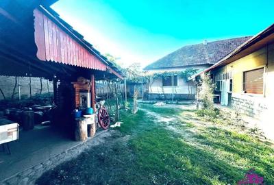 Casă cu 4 camere cu Teren 1712 Mp în Finiș - 18