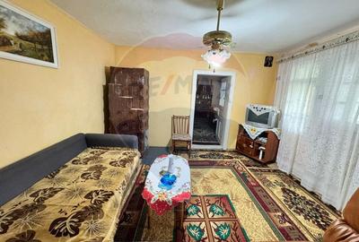 Casa traditionala cu potential de vanzare-HEMEIUS - 3