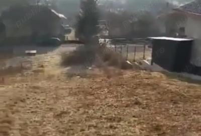 Teren de 2200 mp, în Criș - 4