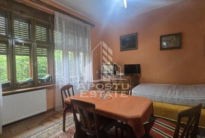 Proprietate cu potential turistic in Gurahont - 10