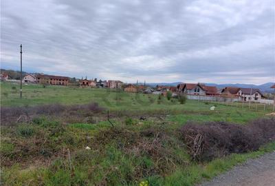 RECO Teren 4935mp in Beius RECO Teren 4935mp in Beius - 5