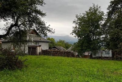 Spațiu comercial, în Hoteni - 4