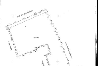 Teren de 9999 mp, în Neagra - 3