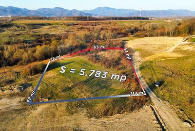 Teren Construcții intravilan de 5783 mp, în Satu Nou de Jos - 5
