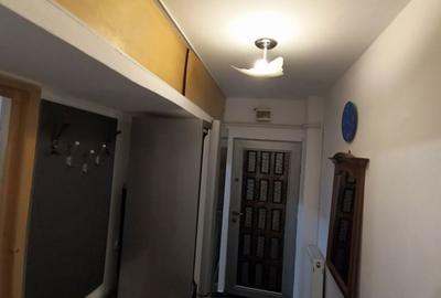Apartament cu 2 camere semidecomandat în Milcov - 2