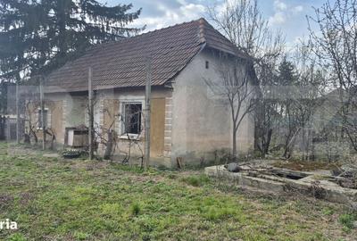 Spațiu comercial, în Micula - 4
