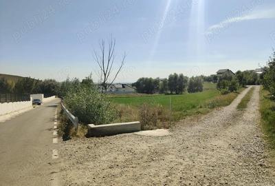 Teren de 3500 mp, în Moara - 2