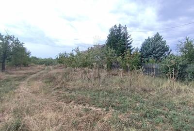 Teren Construcții intravilan de 17211 mp, în Păulești - 5