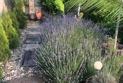 Casă cu 5 camere în Cetate - 2