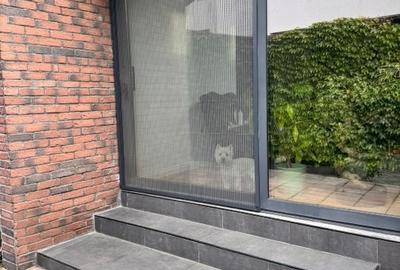 Vilă modernă 4 camere, 180mp – Aviatiei, vis-a-vis de Verita School - 8