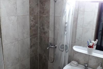 Apartament cu 2 camere semidecomandat în Voineasa - 1