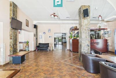 Pensiune la Orțișoara - 3