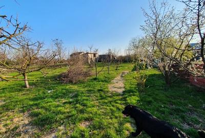 Casă cu 11 camere cu Teren 2600 Mp în Făcău - 3