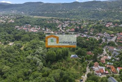 Cornu, Vedere la Padure, Vila D+P+M, 6600mp teren, 4 parcare - 8