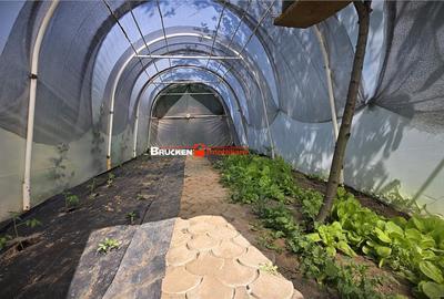 Casă cu 6 camere cu Teren 1726 Mp în Ultracentral - 7