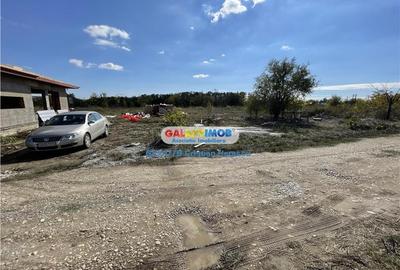 Gulia Tartasesti Str Samurcasi 482 mp deschidere 25 ml - 10