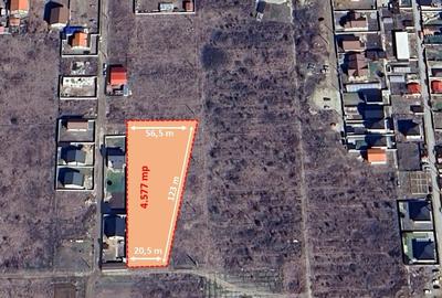 Teren Construcții intravilan de 4577 mp, în Șimian - 1