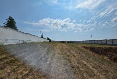 Teren Cu Deschidere La Lac | De inchiriat | Snagov | Utilita - 3