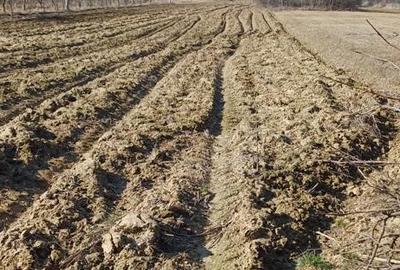 Spațiu comercial, în Voroveni - 4