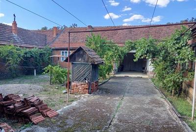 Casă individuală cu 7 camere cu Teren 842 Mp în Naidăș - 14