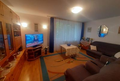 Drumul Taberei, Parc Moghioros - 1