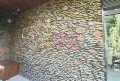 Vila de vanzare in Campina - Zona Lunca Mare - 36