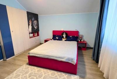 Proprietar vand casa individuala cu 4 camere si teren de 820 mp - Dumbravita - 16