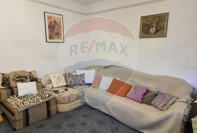 Casă individuală cu 5 camere cu Canalizare în Vest - 18