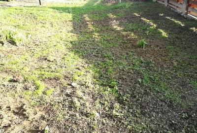 Casa de vacan?a la cheie - 2