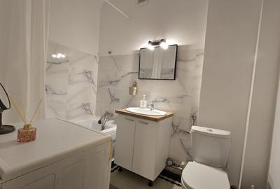 De inchiriat apartament 3 camere Gara de Nord - 10