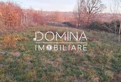 Teren de 3100 mp, în Central - 9