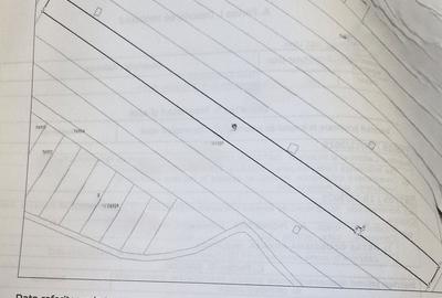 Spațiu comercial, în Dumbrava - 2