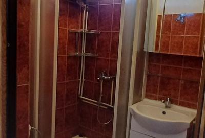 Garsonieră decomandată în Valea Rosie - 3
