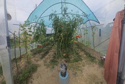 Casă cu 4 camere în Voroveni - 3