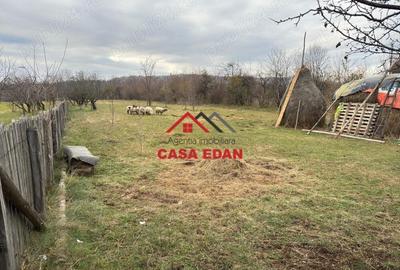 Teren intravilan in Brebu--2080mp--22e - 5