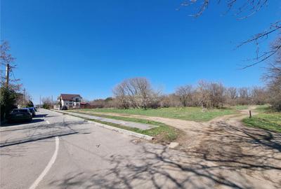 Loturi teren zona SERE Alexandria si Nanov Loturi teren zona SERE Alexandria si Nanov - 2