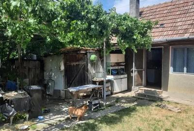 Casă cu 2 camere cu Teren 1300 Mp în Rediu - 4