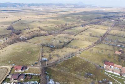 Spațiu comercial, în Sohodol - 13