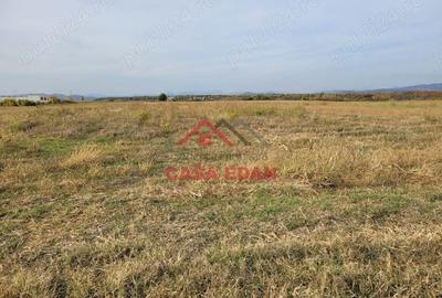 Casă cu Teren 10000 Mp în Băicoi - 1