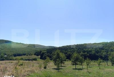 Spațiu comercial, în Jichișu de Jos - 3