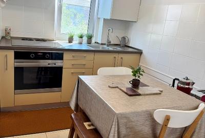 Apartament cu 2 camere semidecomandat în Podu Roș - 7